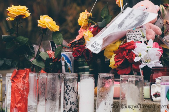 Christmas and Protest 046